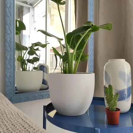 Apartamento Oliva Apartment