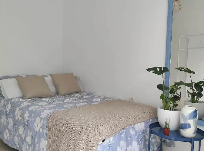 Apartment Apartamento Oliva